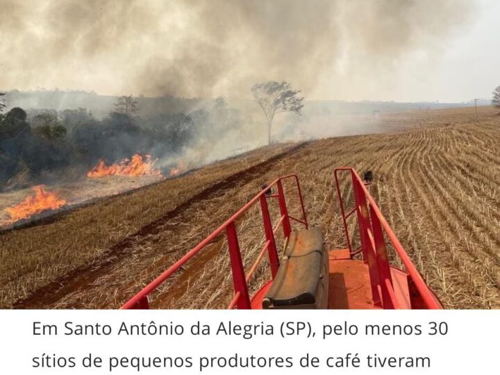 QUEIMADAS NO INTERIOR DE SP DESTROEM CAFÉ E HORTALIÇAS DE AGRICULTORES FAMILIARES