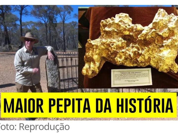 MAIOR PEPITA DE OURO DA HISTÓRIA, PESANDO TANTO QUANTO UM HOMEM ADULTO, MARCOU A HISTÓRIA, MAS FOI VENDIDA POR UM VALOR SURPREENDENTEMENTE BAIXO 